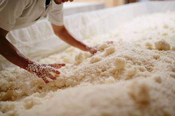 Préparation du koji à la brasserie de saké de Yamanashi Meijo