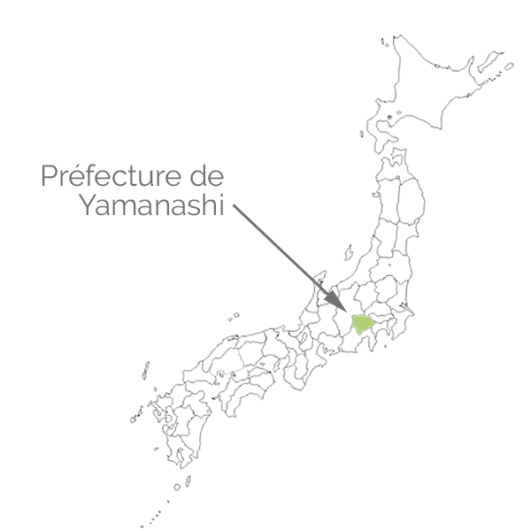Carte du Japon, la préfecture de Yamanashi
